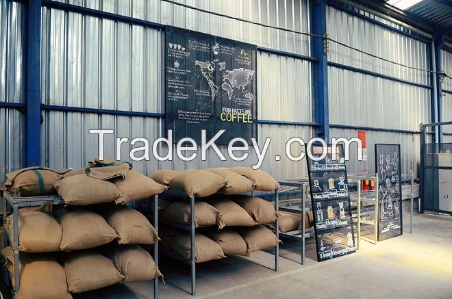 Vietnam Good Quality Arabica Green Coffee Beans Wholesale