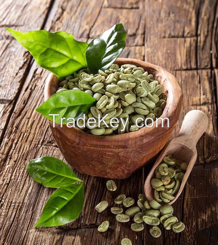 Vietnam Good Quality Arabica Green Coffee Beans Wholesale