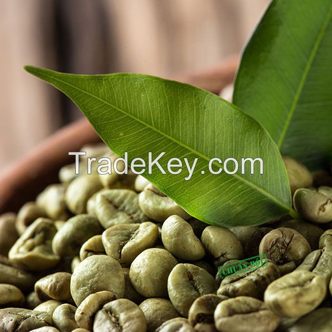 Vietnam Good Quality Arabica Green Coffee Beans Wholesale