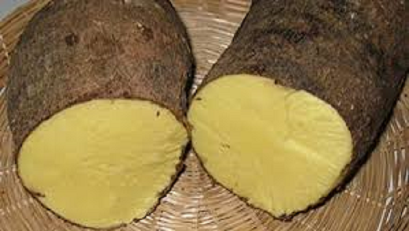 Yellow yam