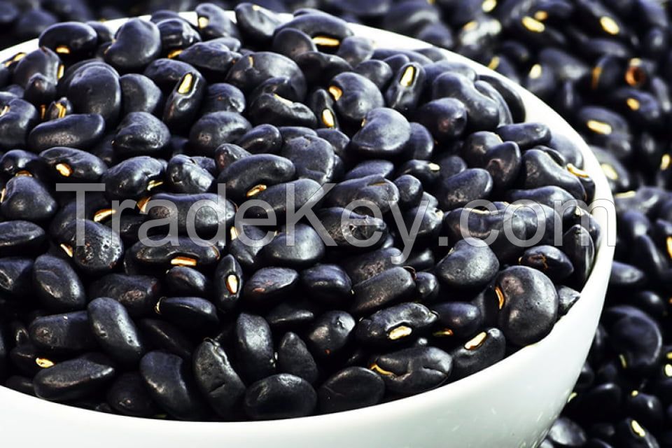 Red, Black and White Kidney Beans
