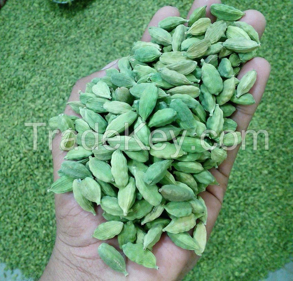 Green Cardamom Seeds