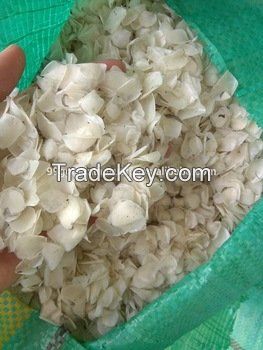 DRIED FISH SCALE FOR COLLAGEN FROM VIETNAM