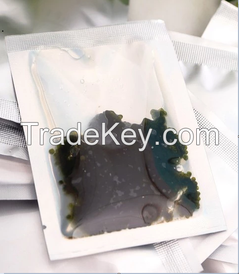 GRAPES SEAWEED WITH COMPETITIVE PRICE//Kathy: +84813366387