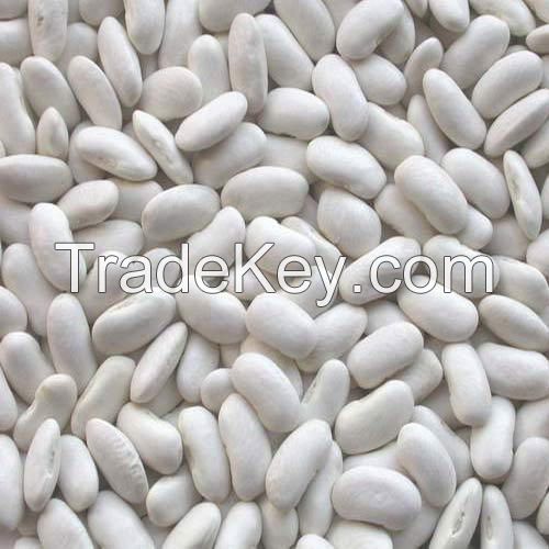  White Kidney Beans
