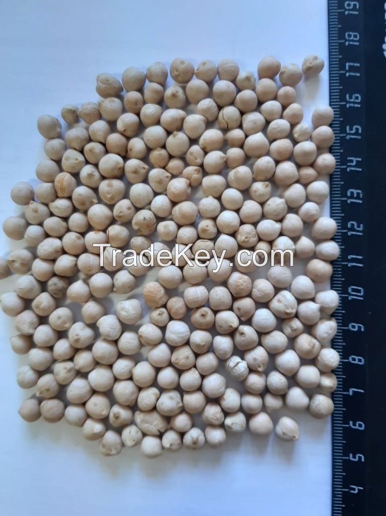 chickpeas 