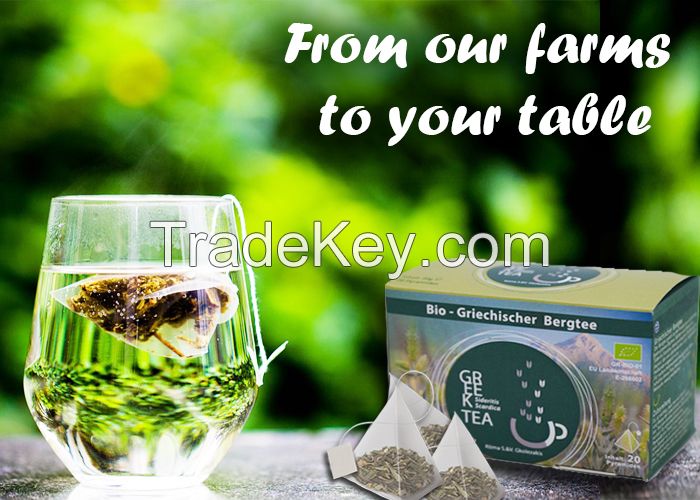 Tea in sachets organic