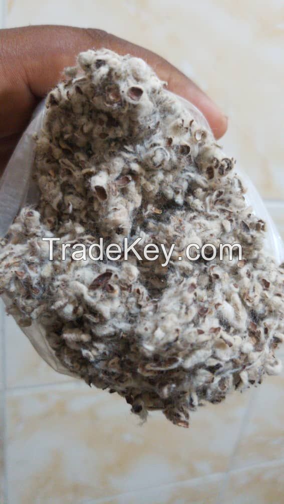 Cotton Seeds Exporter,Cotton Seeds Supplier in Benin,Cotton Seeds Exporters