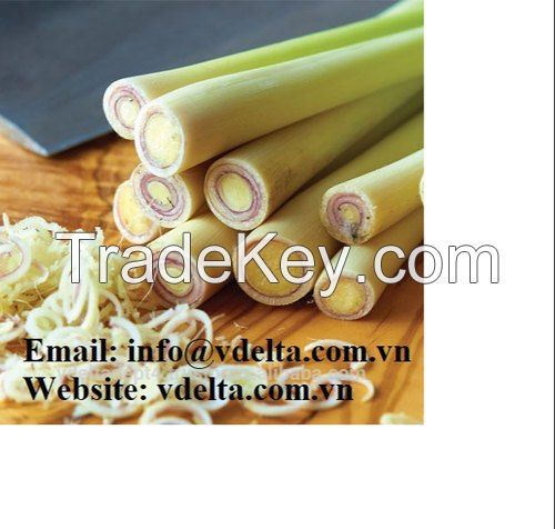 Vietnam Fresh Lemongrass