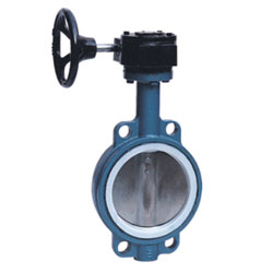 Centerline dual-clamp butterfly valve