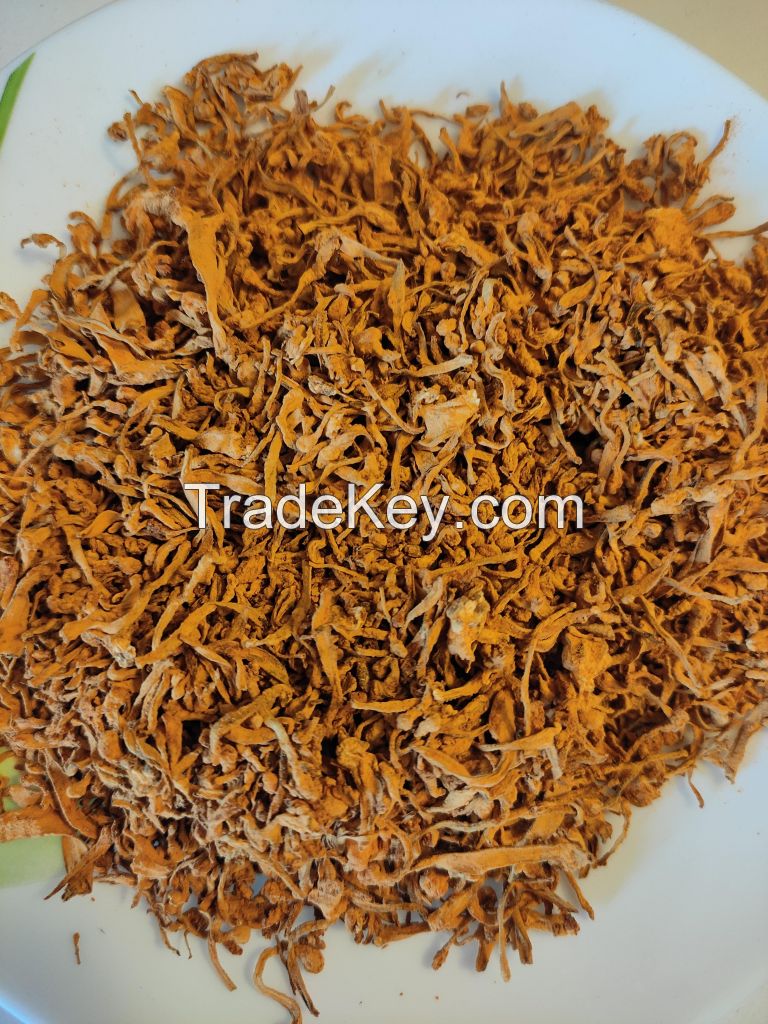 Cordyceps Militaris Fruiting Body