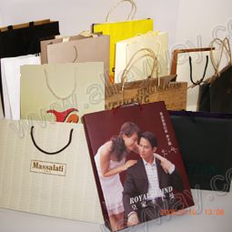 Promotion/Gift/Shopping Bag