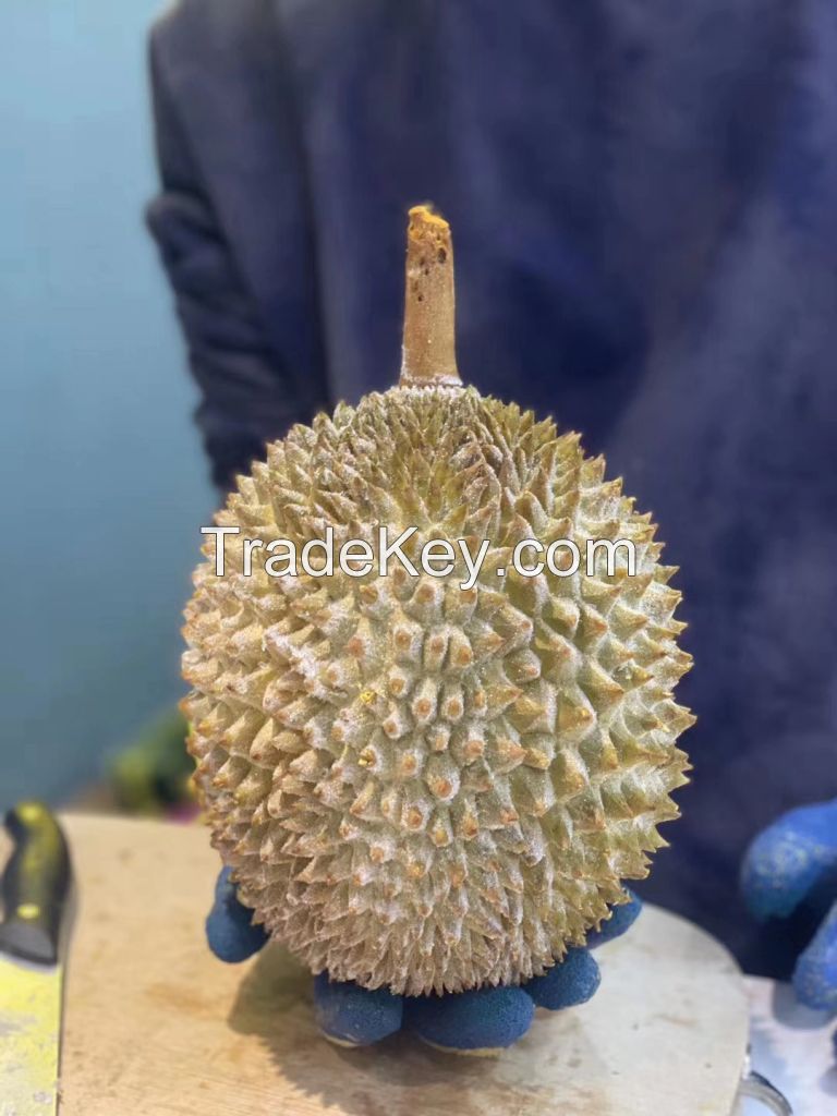 Malaysia  Durian 