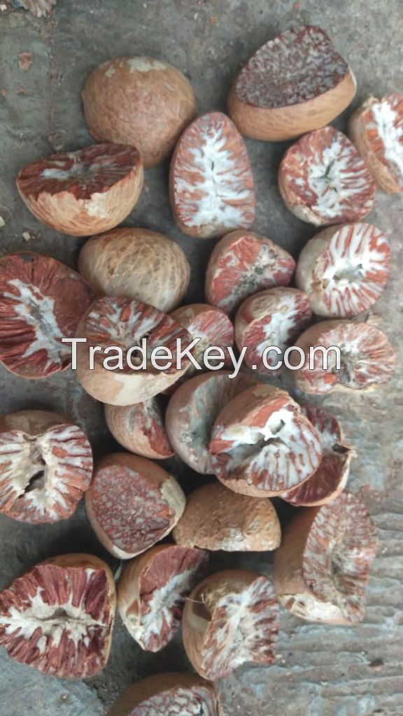 Dried Betel Nut