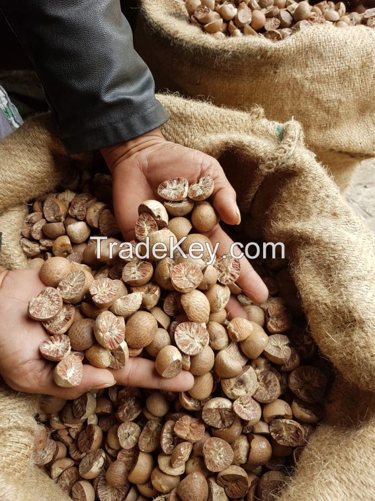 Dried Betel Nut