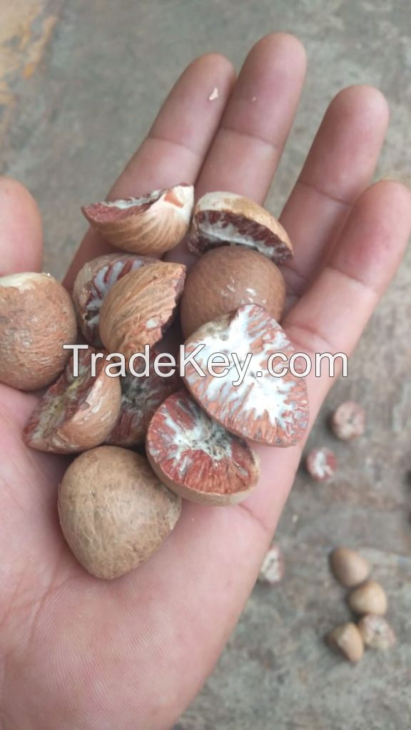 Dried Betel Nut