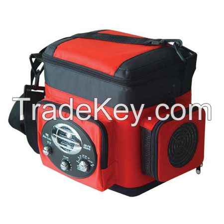 Car Mini Fridge 6 Litre with Radio