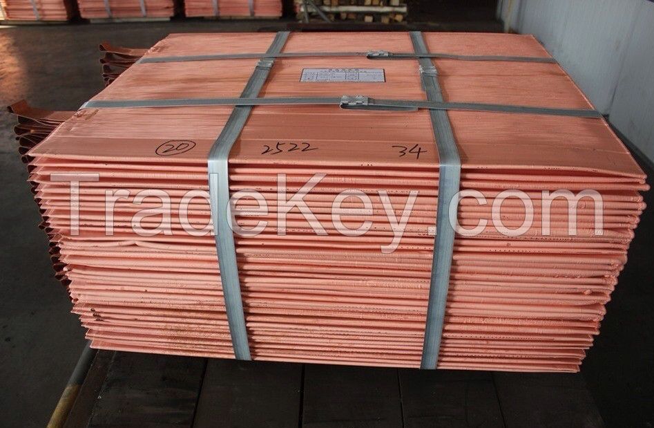 Copper Cathode