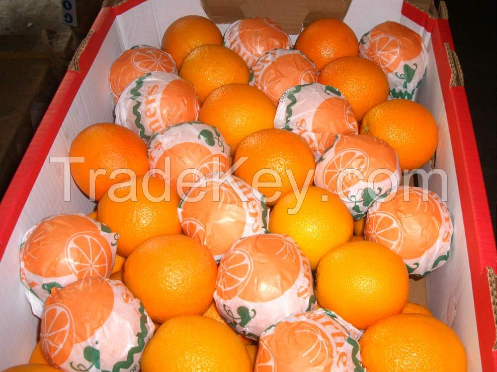 Navel orange