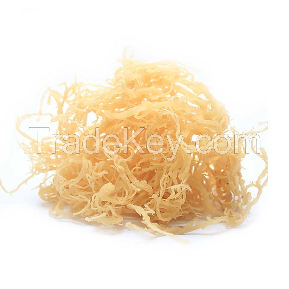 IRISH SEA MOSS