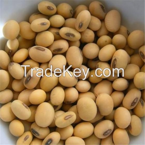 Soybeans - Soybeans High Quality Non GMO Yellow Dry Soybean 