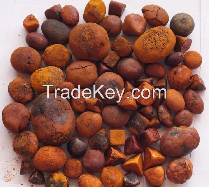 Cow Gallstones | Ox Gallstones | Cattle Gallstones | Gallstones