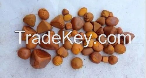 Cow Gallstones | Ox Gallstones | Cattle Gallstones | Gallstones