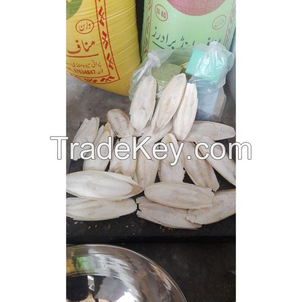 Premium Quality Dried Cuttlefish Bone