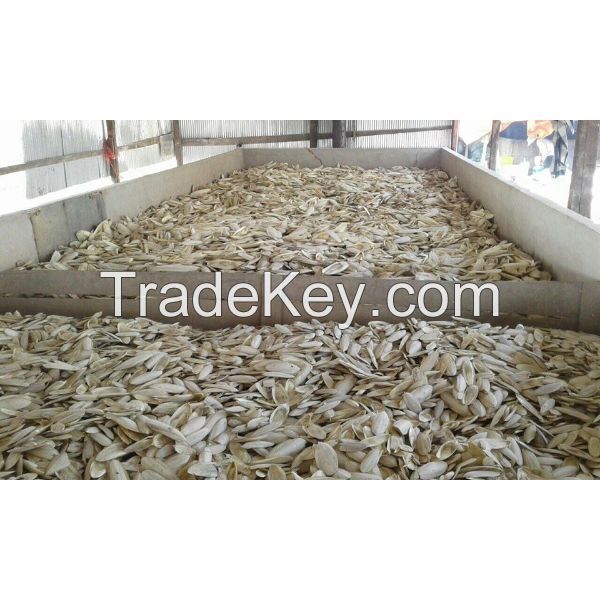 Dried cuttlefish bone processor by the imperial co 