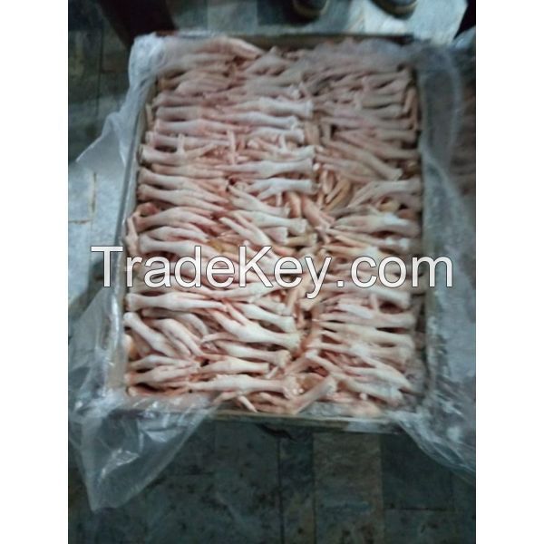 Frozen Chicken Processed Feet/Paws For Sale