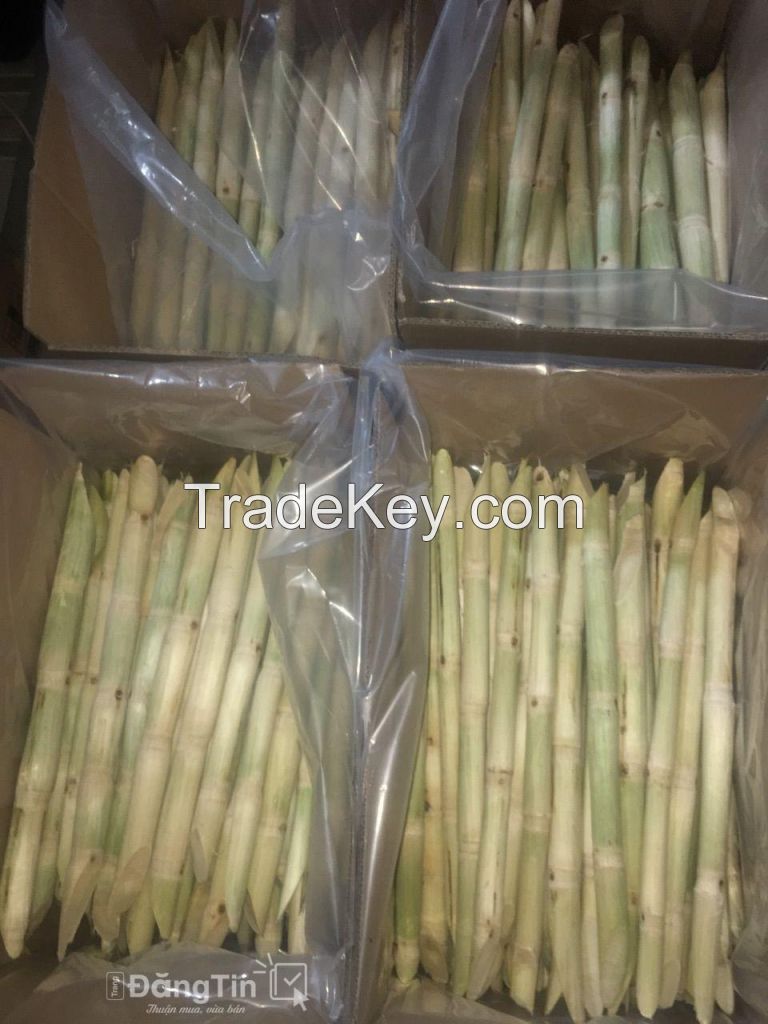 Frozen Sugarcane/WHATSAPP:+84397392071