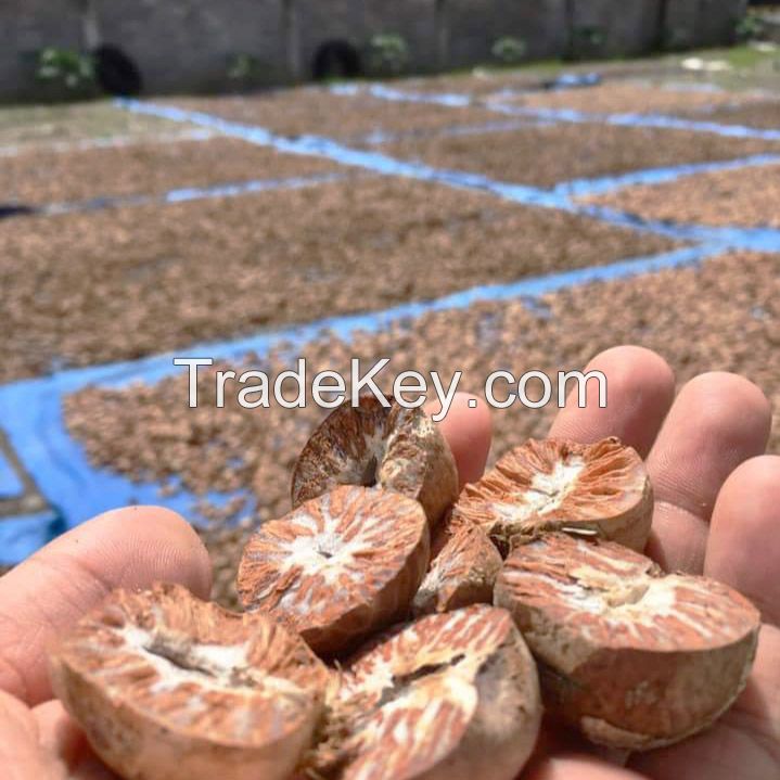 Betel Nut / Areca Nuts Best Price.