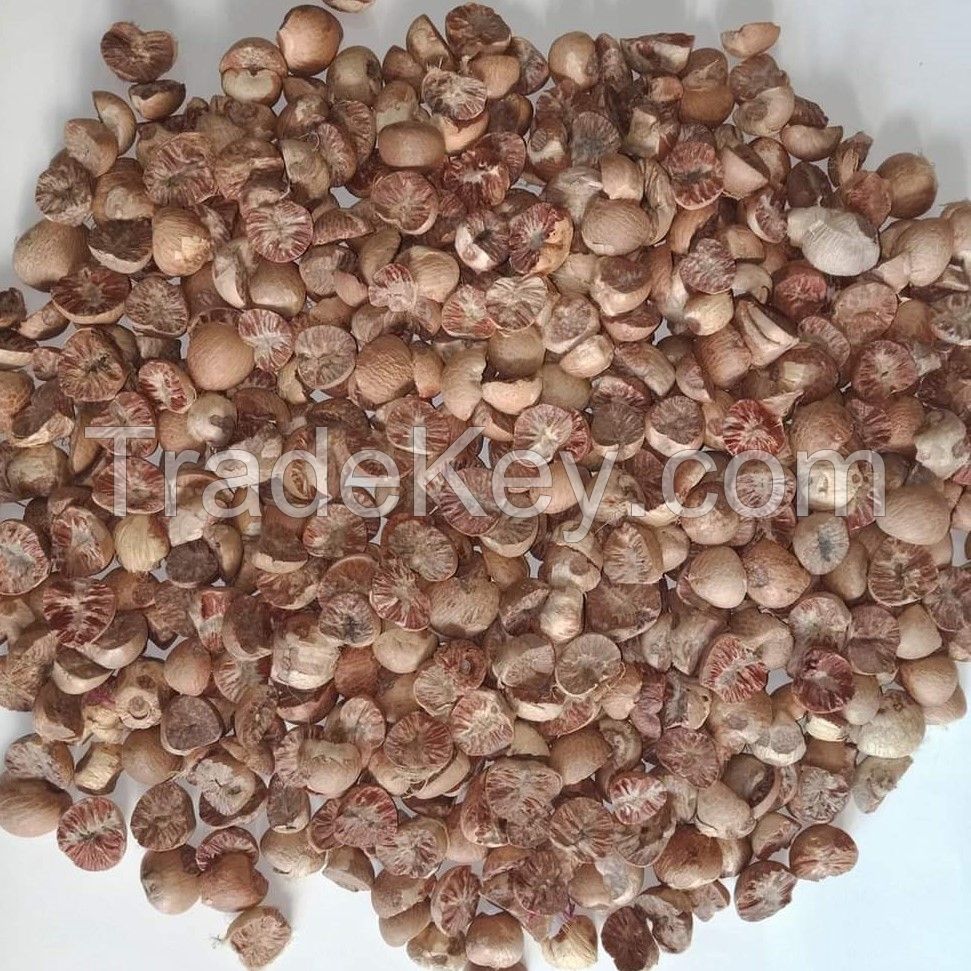 Betel Nut / Areca Nuts Best Price.