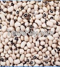 White Beans On sale in Nigeria