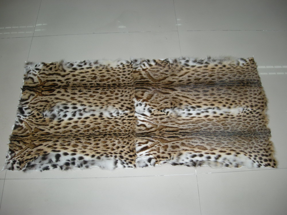 leopard cat plate