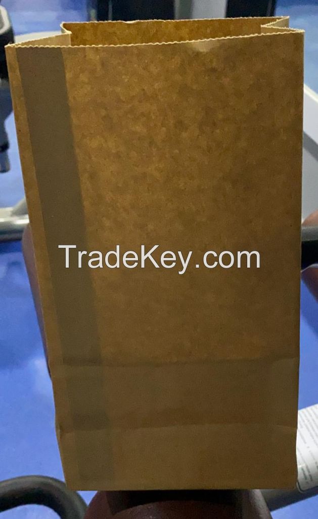 Kraft Paper Bags