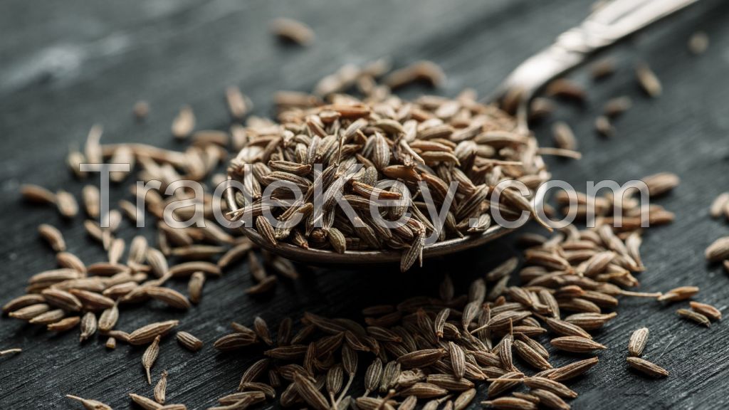 cumin seed