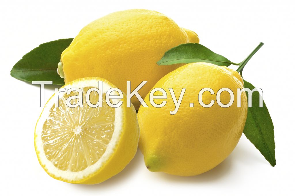 Fresh Grade A Lemon Premium Quality