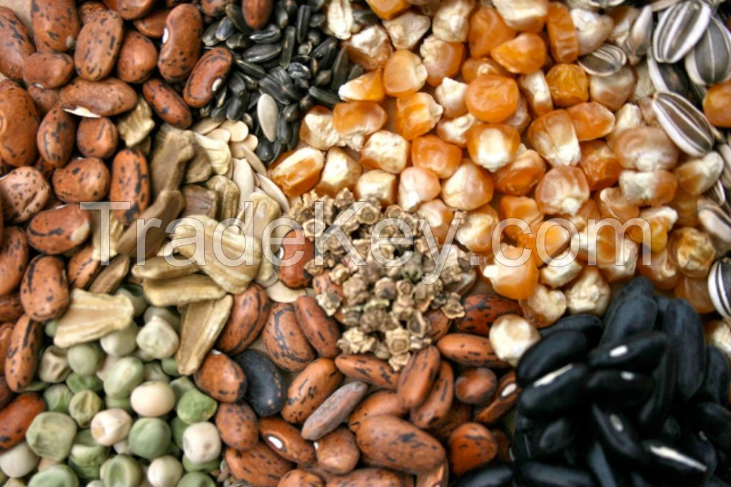 Dry Fruits Nuts And Seeds