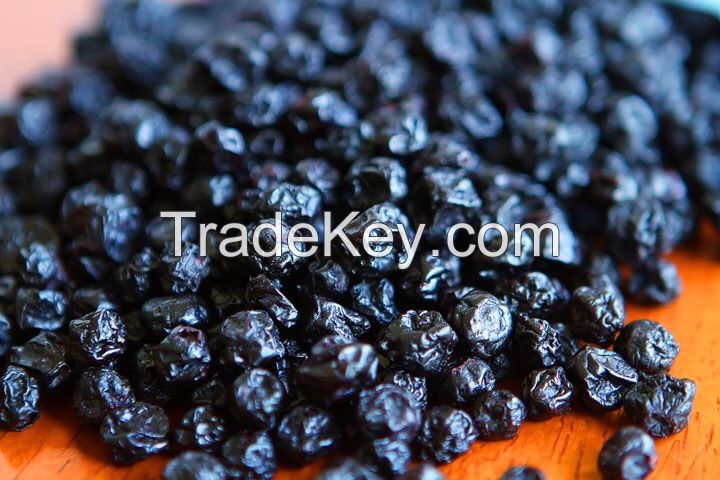 DRIED ORGANIC BLUEBERRIES FROM B.C. CANADA