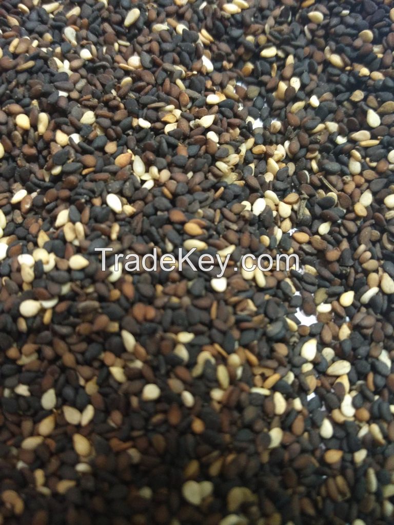 Mixed Sesame Seeds