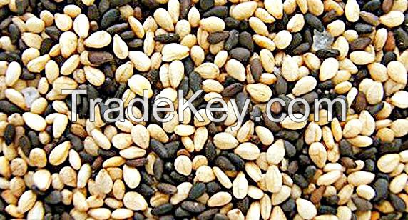 High Quality Grade Sesame Seeds/Nigerian