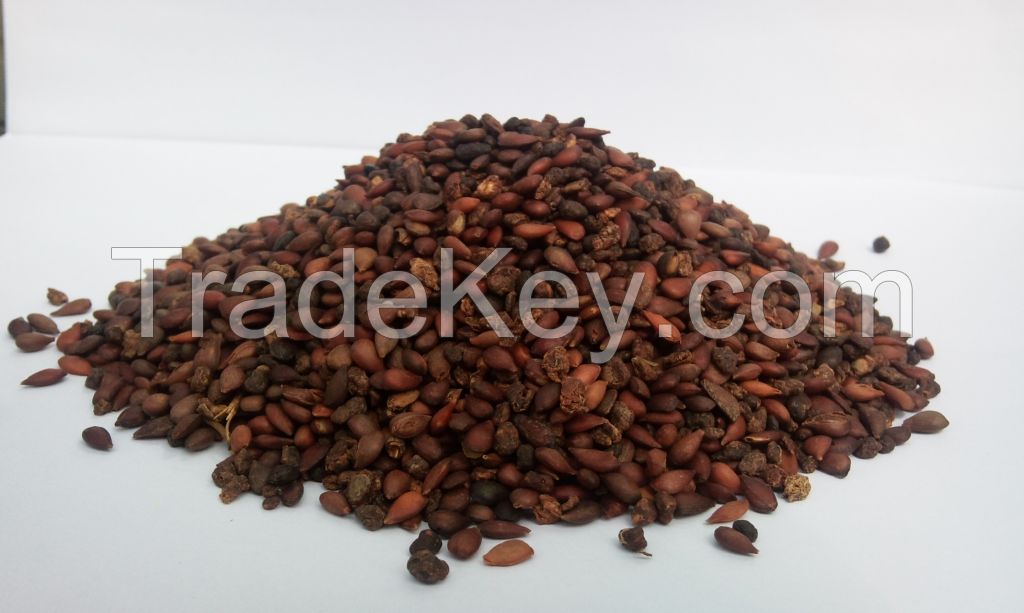 Dried FLAX SEEDS BROWN AND GOLD for: direct food, dairy, fruit preparation, oil pressing, cosmetics