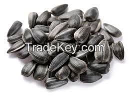 Cheap Sunflower seeds Grade I for sale NOW AVAILABLE 