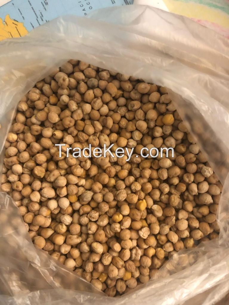 Kabuli Chickpeas 7, 8, 9mm