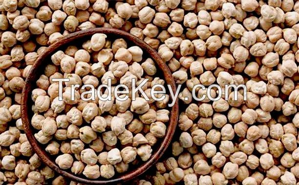 Chickpeas with best quality! Best price! Worldwide delivery!
