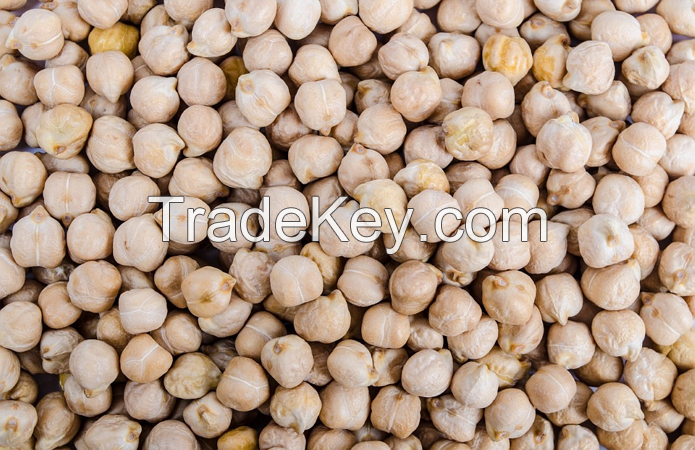 Chickpeas with best quality! Best price! Worldwide delivery!