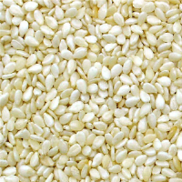 Sesame Seeds White, beans, soybean, sunflower seed, Mung beans, white corn, Pulses, Pea- Beans, Horse Beans, Chick Peas, Lentils, Coffee and other speciality crops