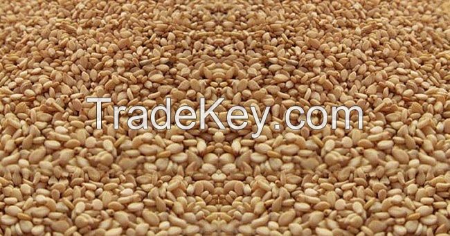 Best Quality Sesame seeds at Cheap Rates