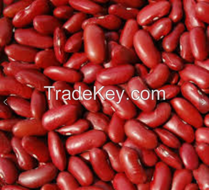 White Organic kidney bean/ Red Kidney Beans , black kidney....